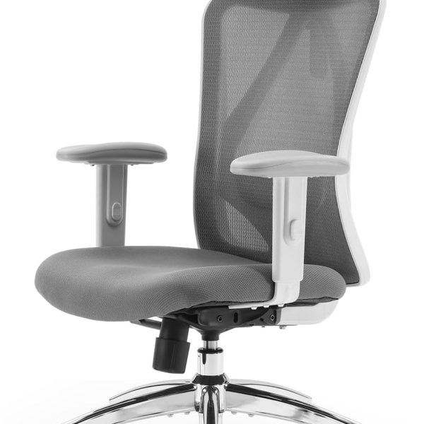 Office Chair, Computer Desk Chair with Adjustable Headrest and Lumbar Support, High Back Executive Swivel Chair for Home Office (Dark Gray)