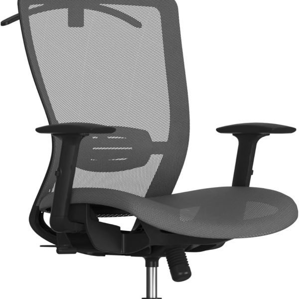 Office Chair, High Back Mesh Swivel Computer Chair, Executive Office Desk Chairs, with Adjustable Lumbar Support/2D Headrest/Lockable Backrest, Mesh Seat, Gray
